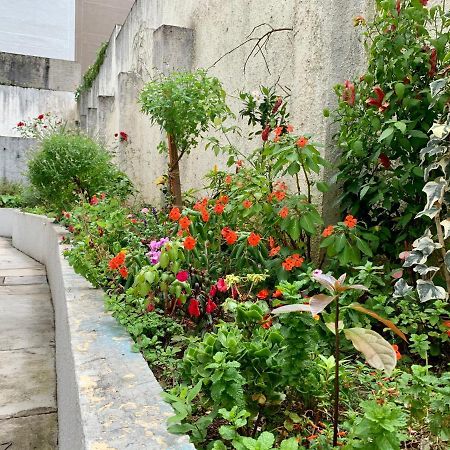 205- Apartamento 1 Quarto Suite, Encantador, Amplo E Decorado, Mobiliario Moderno, Cozinha Completa Com Utensilios , Excelente Vista Da Cidade E Localizacao Privelegiada No Bairro Bigorrilho , Curitiba Extérieur photo